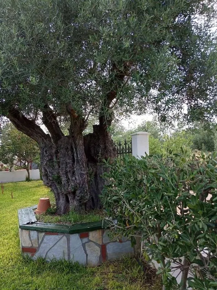 Holiday home Olive Tree Villa Nea Poteidaia